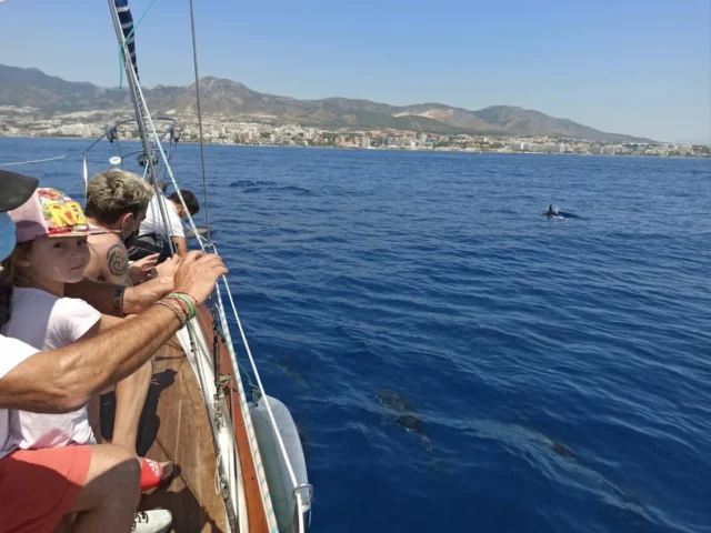 Excursión en Barco para Avistamiento de Delfines en Benalmádena